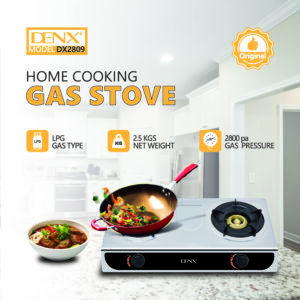 DX2809 - Home cooking gas stove