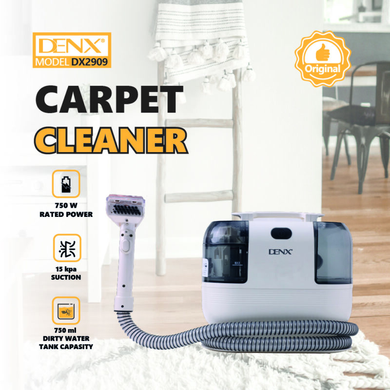 DX2909 - Carpet Cleaner