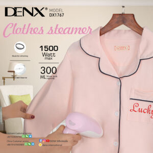 DX1767 - Clothes steamer