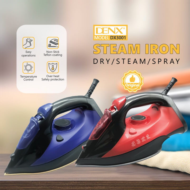 DX3001 - Steam iron