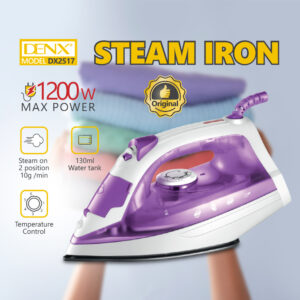 DX2517 - Steam Iron